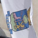 Flag of Zemun in front of municipal building