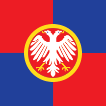 Flag of Despotovac