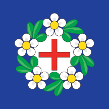 Flag of Gornji Milanovac