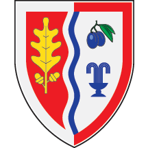 Arms of Ljig