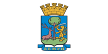 Flag of Zemun (2009)