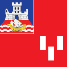 Flag of New Belgrade