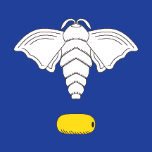 Flag of Svilajnac