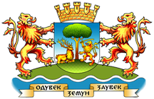 Veliki grb Zemuna (2004-2005)